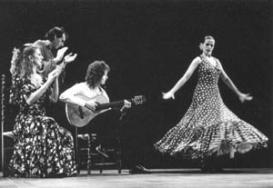 Pura Vida Flamenco